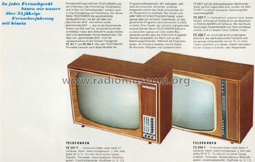 FE256T; Telefunken (ID = 981557) Television