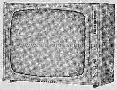 FE315T; Telefunken (ID = 291370) Television