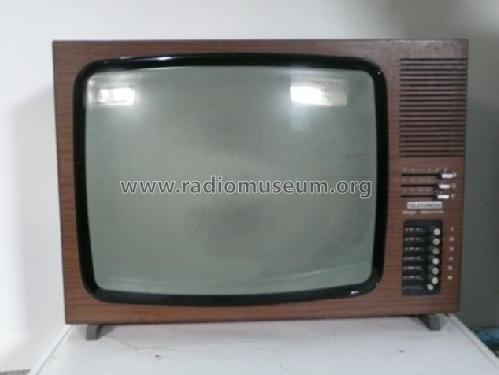 Maya-electronic FE6080; Telefunken (ID = 1628232) Television