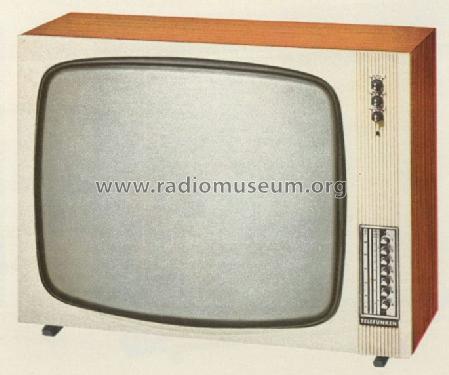 FE-2067-T de luxe; Telefunken (ID = 982210) Television