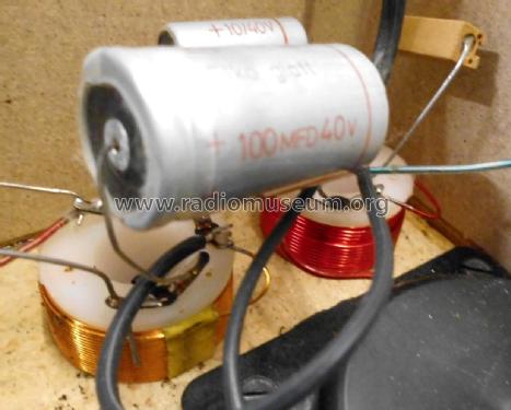 HiFi-Lautsprecherbox TL 410; Telefunken (ID = 2117521) Speaker-P