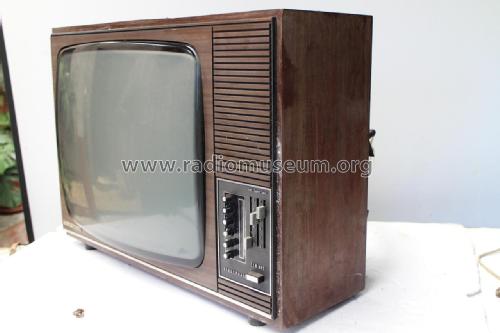 Maya electronic FE 6090; Telefunken (ID = 1867445) Television