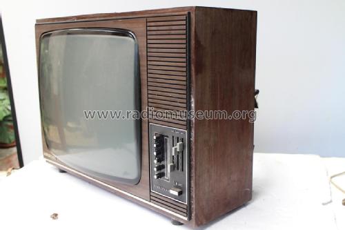 Maya electronic FE 6090; Telefunken (ID = 1867445) Televisión