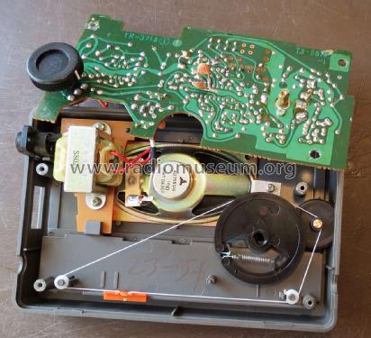 P300; Telefunken (ID = 2013624) Radio