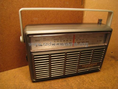 P300; Telefunken (ID = 2072025) Radio