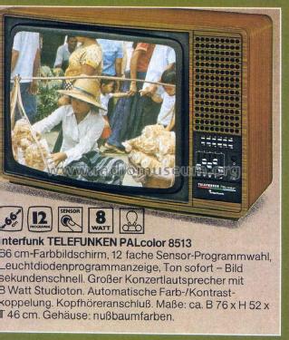 Interfunk PALcolor 8513; Telefunken (ID = 1763754) Television