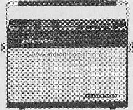 Picnic 201K; Telefunken (ID = 443243) Radio