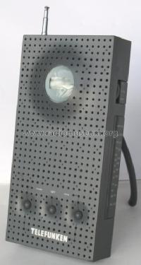 R15; Telefunken (ID = 391745) Radio