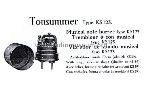 Tonsummer K.S. 123; Telefunken (ID = 2020721) Ausrüstung