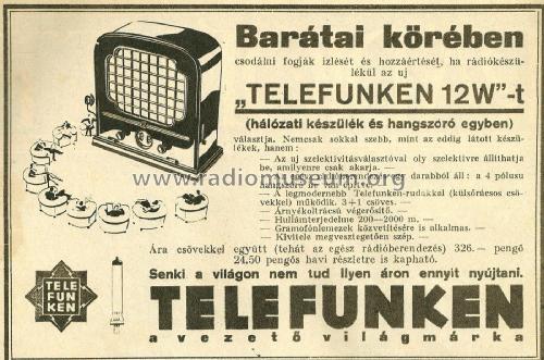 Bezirksempfänger 12W/o; Telefunken; Wien (ID = 1923010) Radio