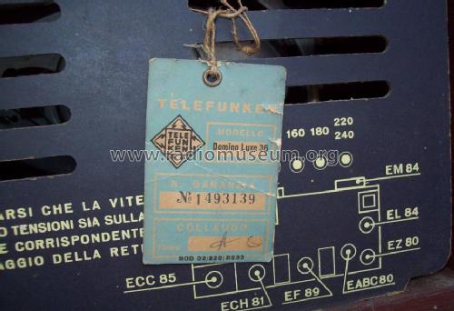 Domino Luxe 36 R533; Telefunken Italia, (ID = 1065362) Radio