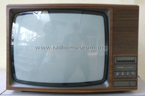 Palcolor Television V5010; Telefunken Italia, (ID = 2046926) Television