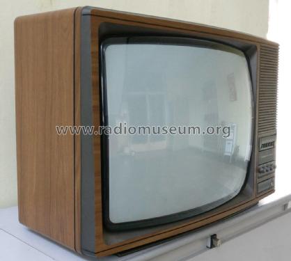 Palcolor Television V5010; Telefunken Italia, (ID = 2046928) Television
