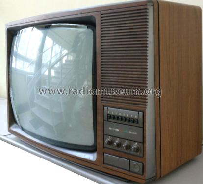 Palcolor Television V5010; Telefunken Italia, (ID = 2046929) Television