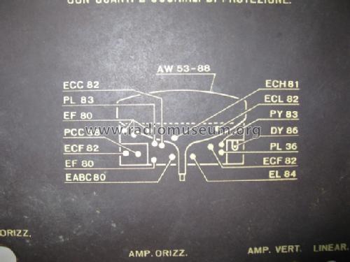 TTV11/21; Telefunken Italia, (ID = 1087584) Television