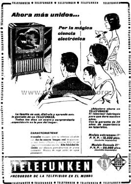 Consola 21 FE-112 /53 S ; Telefunken (ID = 968300) Televisión