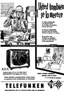 Rex FE-113 /53T; Telefunken (ID = 969335) Televisión