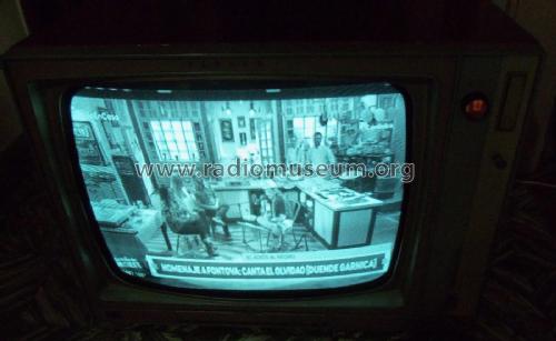 Zenith F-3310; Telesud Zenith; (ID = 2557525) Television