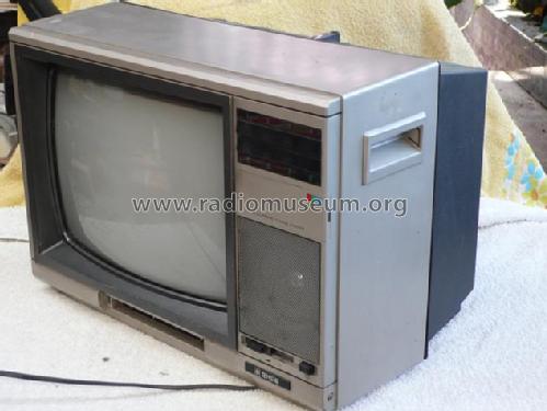 CB-336F; Tensai brand (ID = 1609943) Television