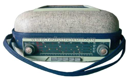 Transitradio 31 ; Teppaz; Lyon (ID = 314913) Radio