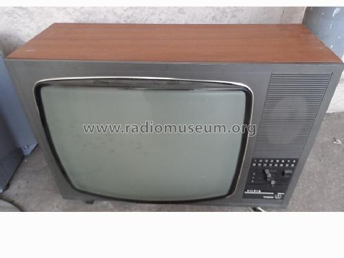 Silvia 4280A; Tesla; Praha, (ID = 1689527) Television