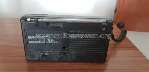 AM/FM Portable Radio NRV-4; Nevir; Madrid (ID = 2569844) Radio