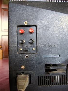 Tokyo Cheetah TB-12EAD; Unknown - CUSTOM (ID = 1354654) Television
