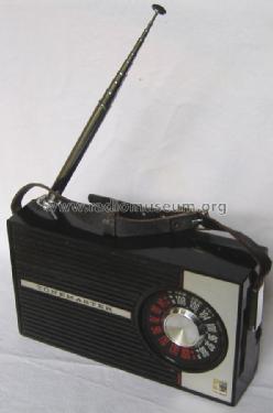 TM-101; Tonemaster Trans (ID = 1477004) Radio