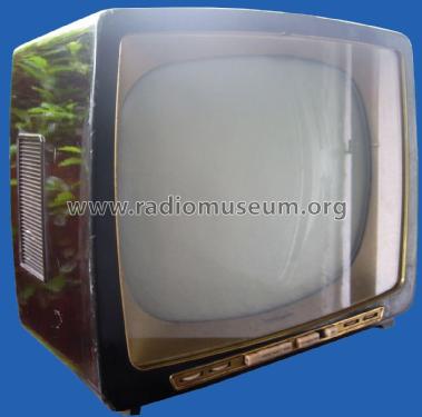 Bildjuwel 1053; Tonfunk GmbH; (ID = 2035240) Televisore