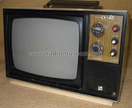 11TBE; Toshiba Corporation; (ID = 209165) Television