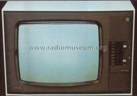 C-800; Toshiba Corporation; (ID = 438167) Television