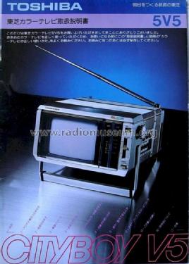 Cityboy V5 5V5; Toshiba Corporation; (ID = 1002676) Television