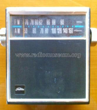 FM/AM 2 Band 9 Transistor RM-107F; Toshiba Corporation; (ID = 1250425) Radio