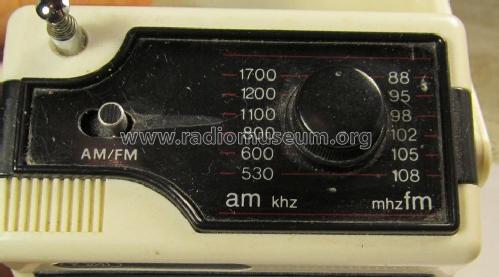 AM/FM Radio DWE-800; Tozai, Poly (ID = 1741836) Radio