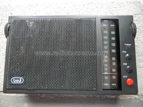 AM/FM Portable Radio RA-750; Trevi S.p.A.; Rimini (ID = 1447799) Radio