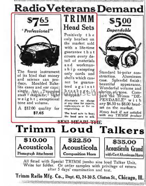 Professional Headset 2000, 3000, 4000; Trimm; Libertyville (ID = 2846708) Speaker-P