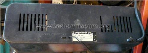 Pagmatron RM 300; Unknown - CUSTOM (ID = 1662210) Radio