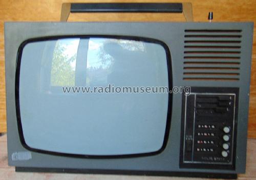 Solid State TV ; Unknown - CUSTOM (ID = 2301193) Televisore