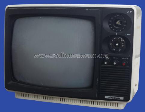 FS-100; Ultrasound, Gebr. (ID = 1857454) Television