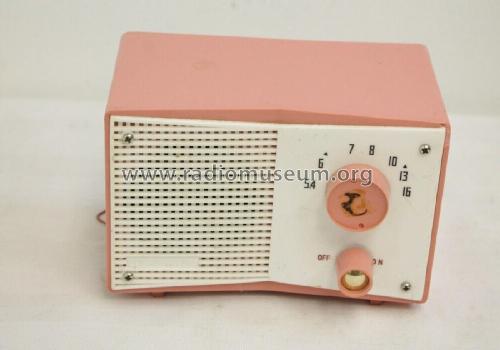 2 Transistors HTR-999; Unknown - CUSTOM (ID = 2780452) Radio