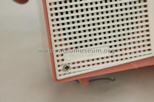 2 Transistors HTR-999; Unknown - CUSTOM (ID = 2780454) Radio