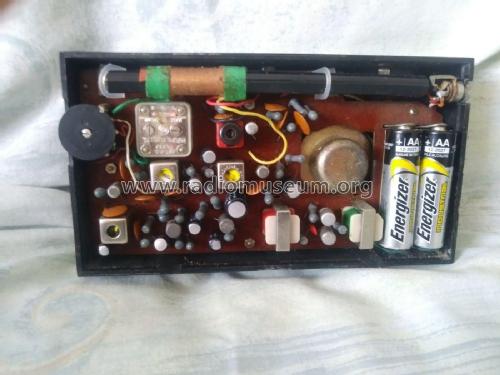 Play-Rite 8 Transistor T8-110; Unknown - CUSTOM (ID = 2557678) Radio