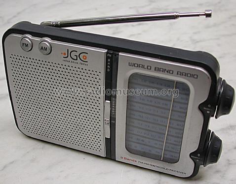 9 Band FM/AM/SW Radio WE-100; Unknown - CUSTOM (ID = 1496285) Radio