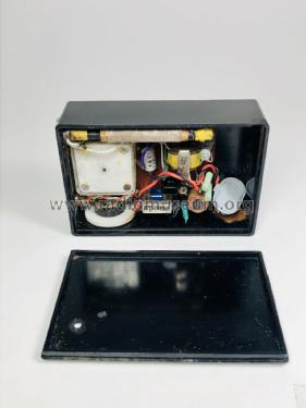 Alive First Transistor Radio ; Unknown - CUSTOM (ID = 2442551) Radio
