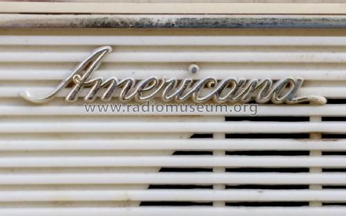 Americana AM/FM Ten Transistor 10 AFM/1; Topp Import & Export (ID = 2276756) Radio