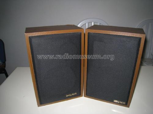 Amy HiFi 113 ; Unknown - CUSTOM (ID = 1940331) Speaker-P