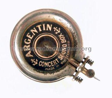 Argentin Concert Sound Box ; Unknown - CUSTOM (ID = 1099472) Microphone/PU