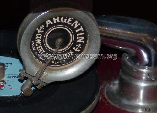 Argentin Concert Sound Box ; Unknown - CUSTOM (ID = 1947589) Microphone/PU