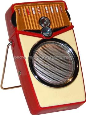 Beach Boy Transistor FM 541.522; Unknown - CUSTOM (ID = 2127717) Radio