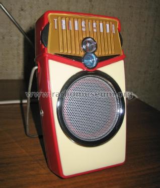 Beach Boy Transistor FM 541.522; Unknown - CUSTOM (ID = 3168468) Radio